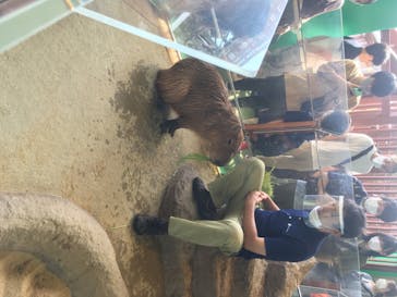 新江ノ島水族館に投稿された画像（2020/8/14）