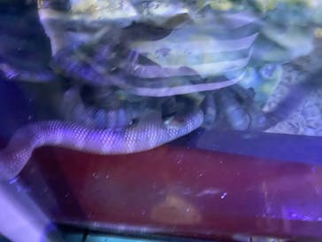 株式会社Gに投稿された画像（2020/8/14）