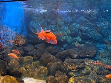 株式会社Gに投稿された画像（2020/8/14）