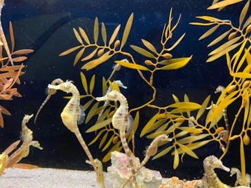 株式会社Gに投稿された画像（2020/8/14）