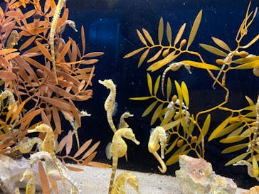 株式会社Gに投稿された画像（2020/8/14）