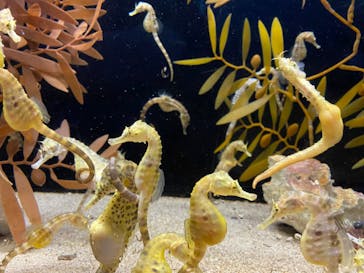 株式会社Gに投稿された画像（2020/8/14）