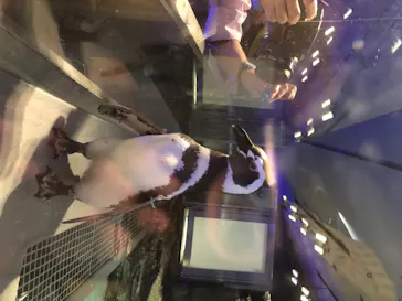 すみだ水族館に投稿された画像（2020/8/14）