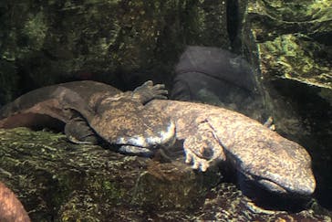 京都水族館に投稿された画像（2020/8/14）