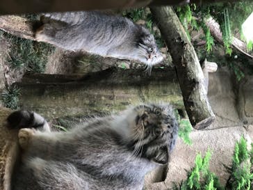 那須どうぶつ王国に投稿された画像（2020/8/14）