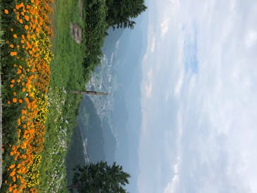 湯沢高原スキー場/パノラマパークに投稿された画像（2020/8/14）