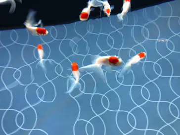 すみだ水族館に投稿された画像（2020/8/14）