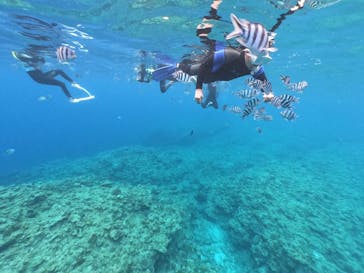 DIVING-SHOP SUNSに投稿された画像（2020/8/14）