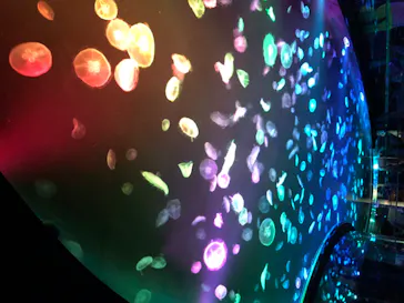 すみだ水族館に投稿された画像（2020/8/14）