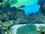 サンシャイン水族館に投稿された画像（2020/8/14）