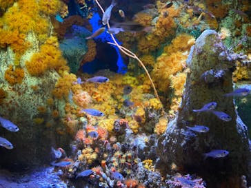 サンシャイン水族館に投稿された画像（2020/8/14）