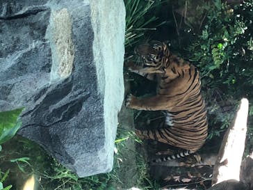 神戸どうぶつ王国に投稿された画像（2020/8/14）