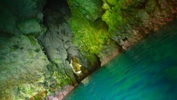 ダイビングショップ Sea Free（シーフリー）に投稿された画像（2020/8/14）