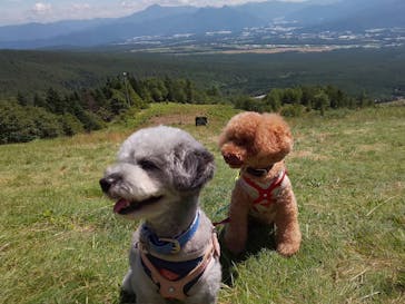 サンメドウズ清里に投稿された画像（2020/8/14）