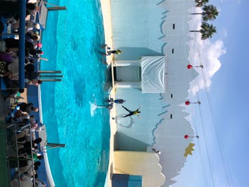 株式会社Gに投稿された画像（2020/8/14）