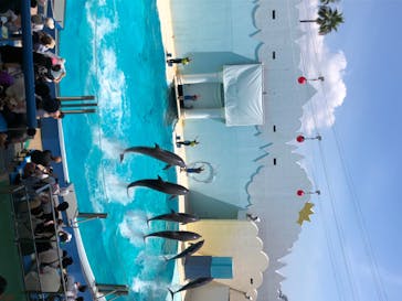 株式会社Gに投稿された画像（2020/8/14）