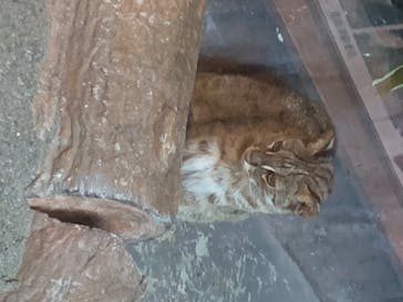 那須どうぶつ王国に投稿された画像（2020/8/14）