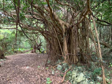 アスムイハイクスに投稿された画像（2020/8/14）