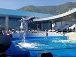大分マリーンパレス水族館 「うみたまご」に投稿された画像（2020/8/14）