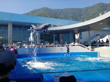 大分マリーンパレス水族館 「うみたまご」に投稿された画像（2020/8/14）