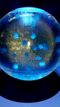 新江ノ島水族館に投稿された画像（2020/8/14）