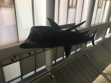 アクアワールド茨城県大洗水族館に投稿された画像（2020/8/14）