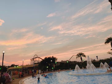 よみうりランド 遊園地に投稿された画像（2020/8/14）