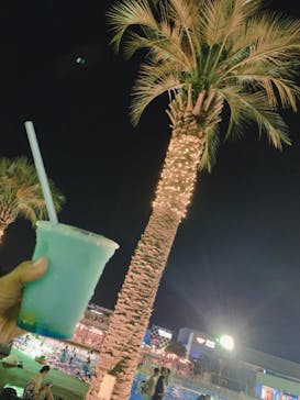 よみうりランド 遊園地に投稿された画像（2020/8/14）