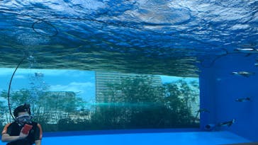 サンシャイン水族館に投稿された画像（2020/8/14）