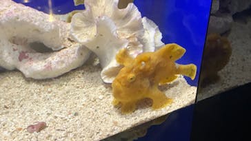 サンシャイン水族館に投稿された画像（2020/8/14）