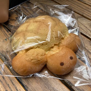 株式会社Gに投稿された画像（2020/8/14）