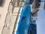 仙台うみの杜水族館に投稿された画像（2020/8/14）