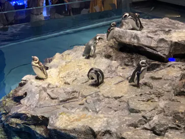 すみだ水族館に投稿された画像（2020/8/14）