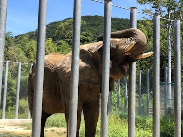 しろとり動物園に投稿された画像（2020/8/14）