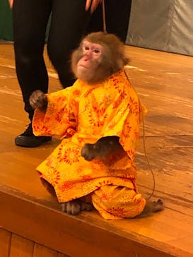 那須ワールドモンキーパークに投稿された画像（2020/8/14）