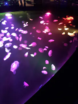 すみだ水族館に投稿された画像（2020/8/14）