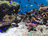 仙台うみの杜水族館に投稿された画像（2020/8/14）