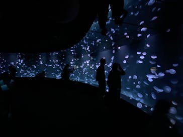 サンシャイン水族館に投稿された画像（2020/8/14）