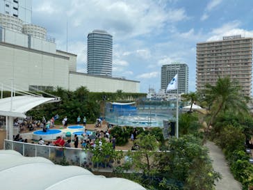 サンシャイン水族館に投稿された画像（2020/8/14）