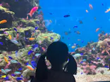 仙台うみの杜水族館に投稿された画像（2020/8/14）