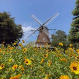 ふなばしアンデルセン公園に投稿された画像（2020/8/14）