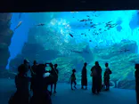 仙台うみの杜水族館に投稿された画像（2020/8/14）