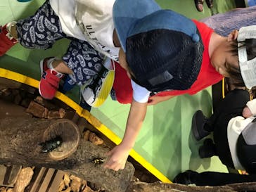 としまえんに投稿された画像（2020/8/14）