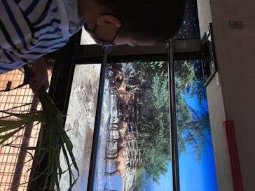 群馬サファリパークに投稿された画像（2020/8/14）