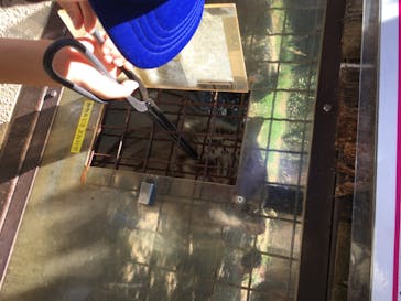 群馬サファリパークに投稿された画像（2020/8/14）