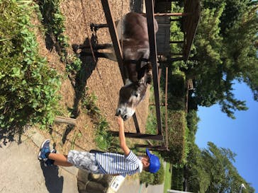 群馬サファリパークに投稿された画像（2020/8/14）