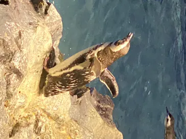 すみだ水族館に投稿された画像（2020/8/14）