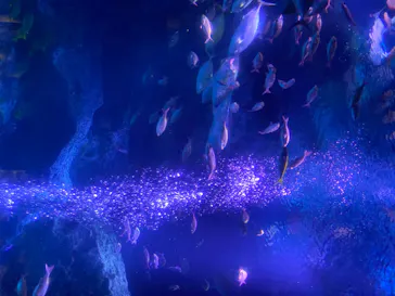 すみだ水族館に投稿された画像（2020/8/14）