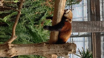 神戸どうぶつ王国に投稿された画像（2020/8/14）