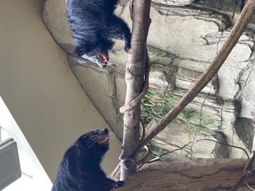 那須どうぶつ王国に投稿された画像（2020/8/14）